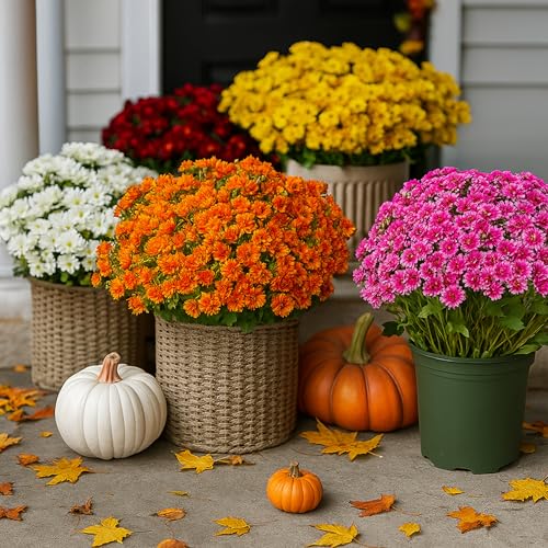 10 Bundles Artificial Mums - Artificial Outdoor Sunset Flowers, UV Resistant, Waterproof, Windproof, Look Real for Front Door Porch Patio Yard Balcony (10 Bundles of Mixed)