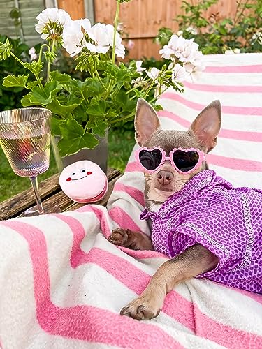 Fitwarm 2 Piece Dog Cooling Shirt And Skirt, Quick Dry Dog Summer Clothes For Small Dogs Girl, Breathable Pet Sun Protection Clothing, Stretchy Cat Outfit, Neon Purple, Small #TOP1