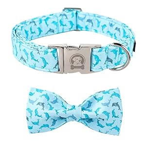 MR. CHUBBYFACE Summer Dog Collar Blue Collar with Bow Adjustable Dolphin Dog Collar Bowtie for Small Medium Large Dogs