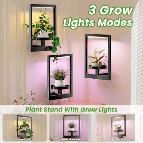 Support de fleurs robuste pour plantes d'intérieur et métal durable
