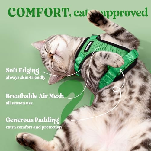 Image of rabbitgoo Cat Harness and Leash Set, Escape Proof Vest, Grass Green | Soft Breathable Mesh, Easy Adjustable Fit, Snap Buckles, Sturdy Clip, Reflective Strips, for Small & Average Cats Walks, Xs