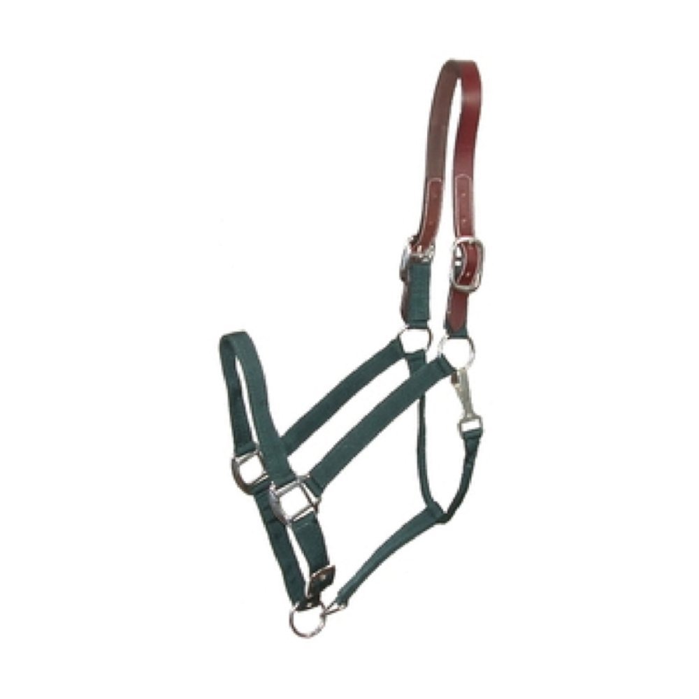 Gatsby Breakaway Halter w/Snap Oversize Hunter