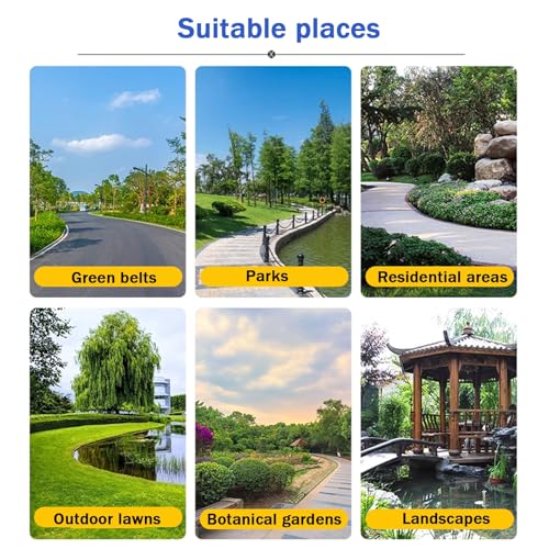 Couvercle de regard de jardin 80x80 pour une pelouse harmonieuse et propre - 7
