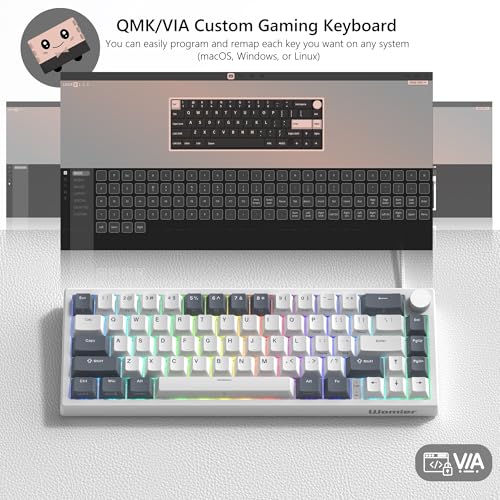 Image of Womier VK66 PRO 60% Gaming Keyboard Wired, QMK /VIA Creamy Mechanical Keyboard, Hot Swappable Gasket Mount RGB Key Board & Translucent Keycaps (White)