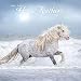 Horse Feathers 2019 Wall Calendar