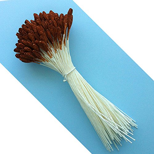 W OF S A SCOTT CLARK WOOLLEY Long Lily Flower Stamens (Brown)