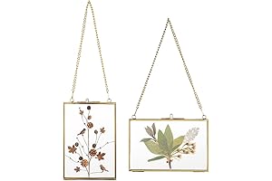 JUXYES Brass Wall Hanging Photo Frame: Preserve Your Precious Memories