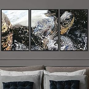 signwin 3 Piece Framed Canvas Wall Art Turtle...