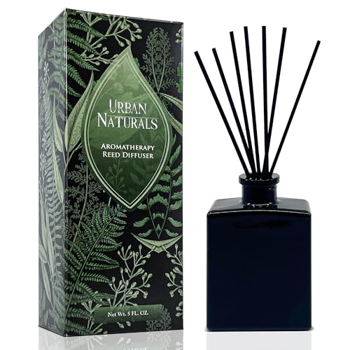 Urban Naturals Balsam Forest Reed Diffuser Oil Set – Fraser Fir, Evergreen, Pine, Woodsy Cedar and Sandalwood – 5 Ounce Sleek Black Rectangular Refillable Glass Bottle – Made in The USA