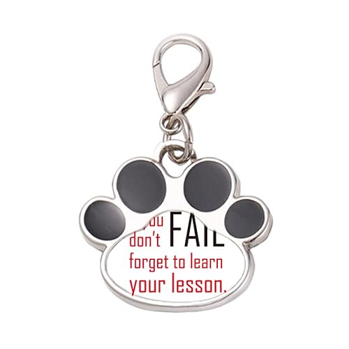 DIYthinker?Quote If You Fail Don't Forget To Learn Your Lesson Pet Tag Keychain Dog Cat ID