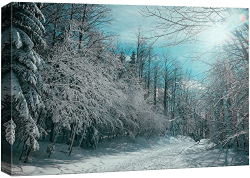 wall26 Canvas Print Wall Art Pine Tree Forest Covered in Snow Nature Wilderness Photography Modern Art Rustic Scenic Colorful Multicolor for Living Room, Bedroom, Office - 12"x18"