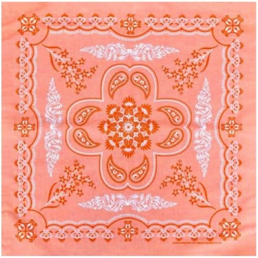 Amazon.com: Hav-A-Hank Floral Coral Paisley Bandanna, 27x27, Made