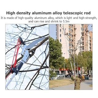 NEWFUN Sega manuale per potatura, Svettatoio Telescopico，2 In 1Taglia Rami Giardino Telescopico Manuale，da 82-528 cm，Regolabile in Altezza Attrezzi da Giardinaggio Altezza Per Segare e Cesoiare