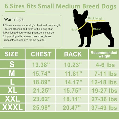 Image of 2 Pack Dog Sweater with Leash Ring, Warm Pet Clothes Thick Clothes Coat Fleece Dog Sweaters for Small Dogs Girl Boy Pullover Doggie Jacket for Fall Winter (Blue,Green, Small)