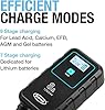 RING SMARTCHARGE 8A Car Charger & Maintainer With Crocodile Clips & Built-In Hanging Hook - Compatible With Lithium Ion, Lead Acid, Gel, Calcium, EFB & AGM Batteries #4