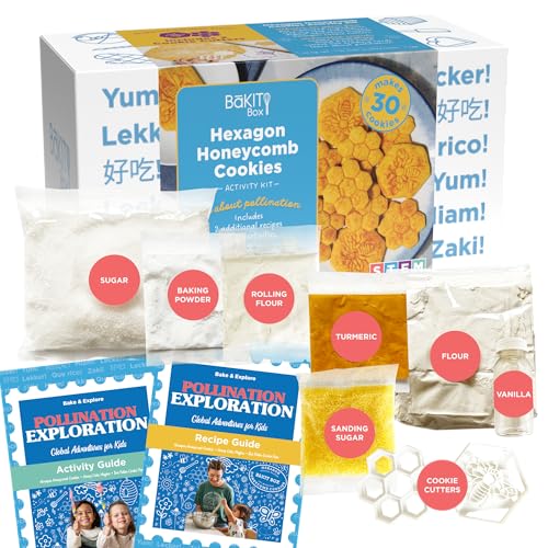 BāKIT Box Hexagon Honeycomb Sugar Cookie Decorating Kit – STEM