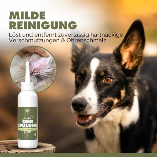 PAW WOW Natürliche Hund-Ohrenspülung 100ml | sanfte Tiefenreinigung & Geruchsschutz mit Lebermoos, Zistrose, Ringelblumen & Schwarzkümmel | 100% natürlich ohne künstliche Zusatzstoffe