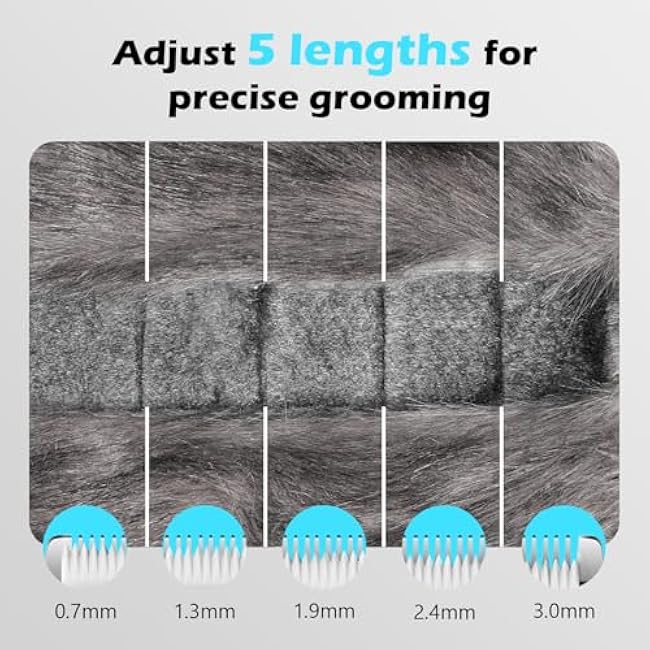 Cat Clippers for Grooming with 5-in-1 Blade, Cat Grooming Kit Cordless Rechargeable Hair Trimmer Detachable Stainless Steel Blade Pet Shaver for Small Kitty Paw Face Head Body-xkgMHVPv