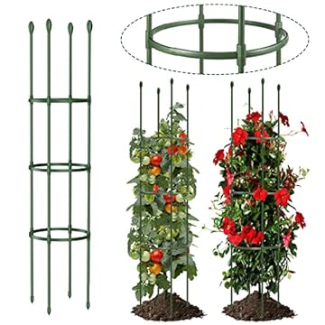 garden trellis for tomatoes