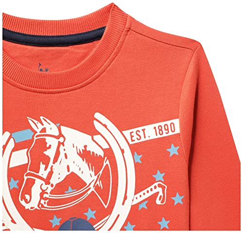 Image of U.S. POLO ASSN. Boys Cotton Turtle Neck Sweatshirt
