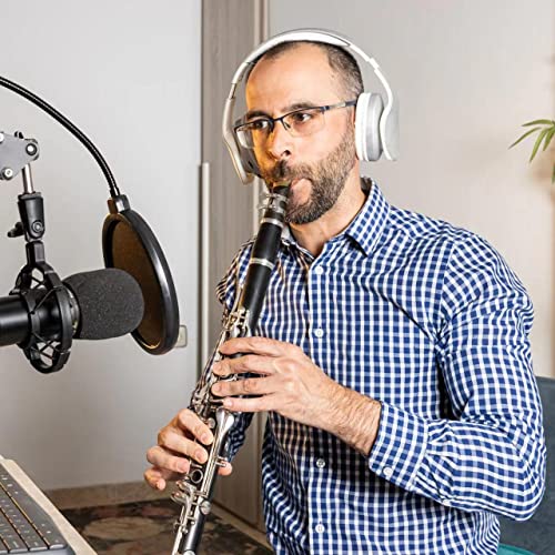 Soulmate B Flat Clarinet For Beginner Student Adults 17 Nickel-Plated Keys Clarinet With 2 Barrels Hard Case 10 Reeds And Clarinet Cleaning Kit, Professional Black Clarinet #TOP4