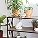 Walker Edison 2 Tier Open Shelf Industrial Wood Metal Bookcase Tall Bookshelf Home Office Storage, 40 Inch, Driftwood