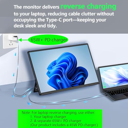 Image of 4K Large Portable Monitor 24 inch Travel Monitor UHD 3840*2160 120% sRGB External Second Screen for MacBook Laptop Desktop Mini PC W /Stand VESA HDMI USB-C Gaming Display for PS5 /Xbox Devices(O2401) (4K)