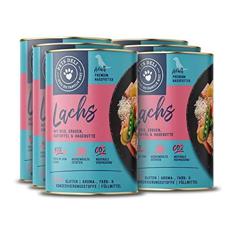 Nassfutter für Hunde | Lachs mit Reis Cover