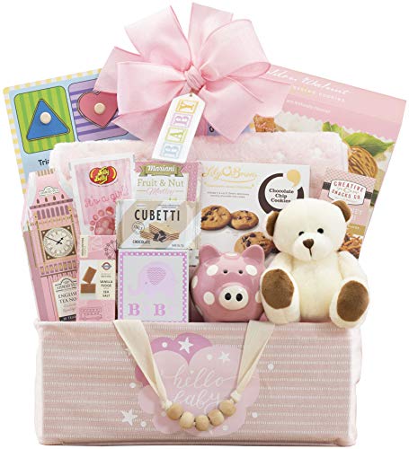 The Bundle of Joy Pink Newborn Baby Girl Gift Basket Congratulations Gift Welcome Home by...