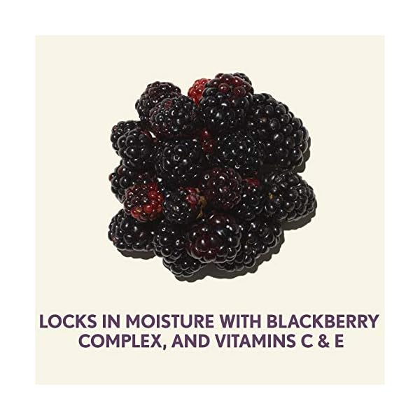 Aveeno Absolutely Ageless Daily Facial Moisturizer with Broad Spectrum SPF 30 Sunscreen, Antioxidant-Rich Blackberry Complex, Vitamins C & E, Hypoallergenic, Non-Comedogenic & Oil-Free, 1.7 fl. Oz