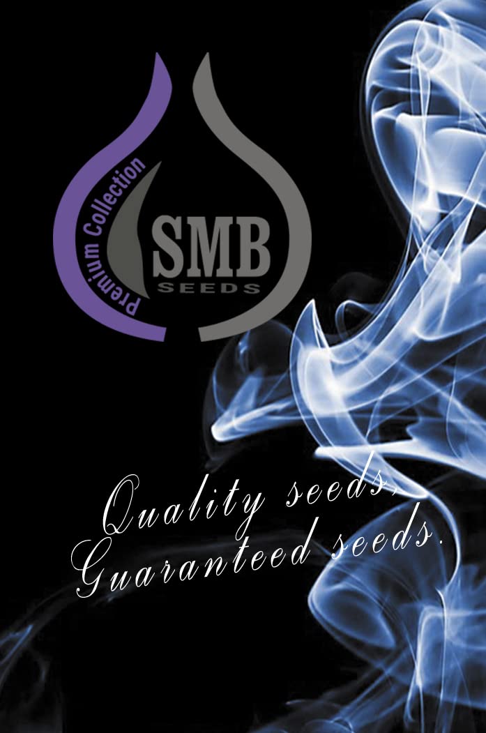 Pack 3 feminiz. Seeds. Indoor & Outdoor. Choose Your Variety. (Amnesia XXL)