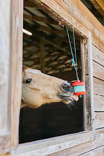 Image of Jolly Pets Horsemen's Pride Treat Refill for Stall Snack Holder Apple (Pack of 4)