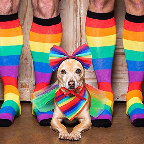 Amylove set de 3 accesorios Pride para perros pequeños y medianos miniatura 6