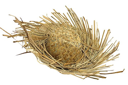 Lot de 24 chapeaux de paille hawaïens avec bords effilochés