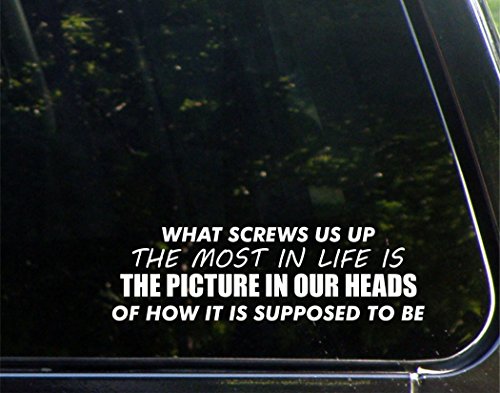 What Screws Us Up Most in Life is The Picture