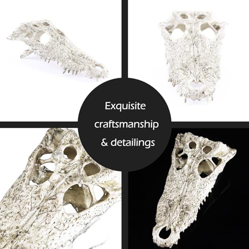 Image of Animal Skull Fish Aquarium Hideout Decorations Cave Dinosaur Reptile Ornament Halloween Decor for Terrarium Large Betta Decor Bones