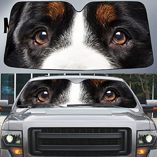 Protecteur de pare-brise pliable L pour voiture et camion avec motif Bouvier Bernois
