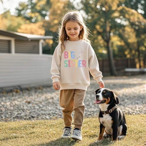Big Sister Sweatshirt Toddler Baby Girl Promoted to Big Sister Announcement Crewneck Long Sleeve Pullover Fall Tops3