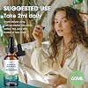 Catfit Soursop Graviola Liquid Drop 2 Pack Soursop Drops with Sea Moss & Turmeric, Cellular Support & Immunity Boost Liquid Supplement, 2 Fl Oz