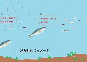 釣り 本 ZEXUS公式サイト | ゼクサス