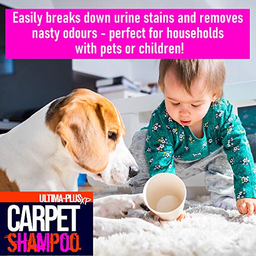 Ultima-Plus XP Carpet Cleaning Shampoo, High Concentrate Cleaning Solution for all Carpets - Image 3