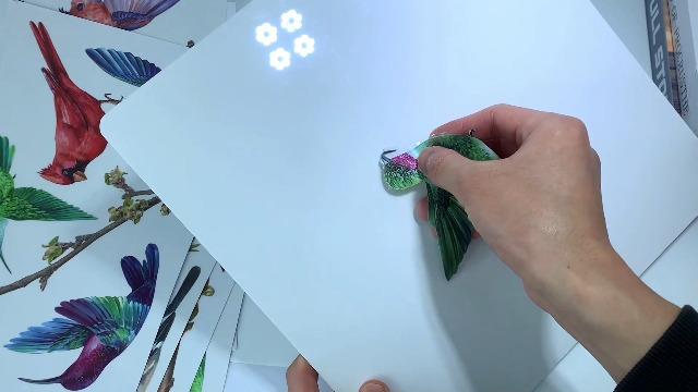 Adhesivos para ventana de pájaros primavera-verano 9 hojas miniatura 7