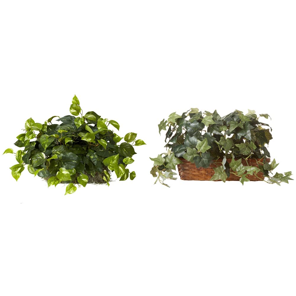 Nearly Natural 15in. Pothos Ledge Plant (Set on Foam) Silk