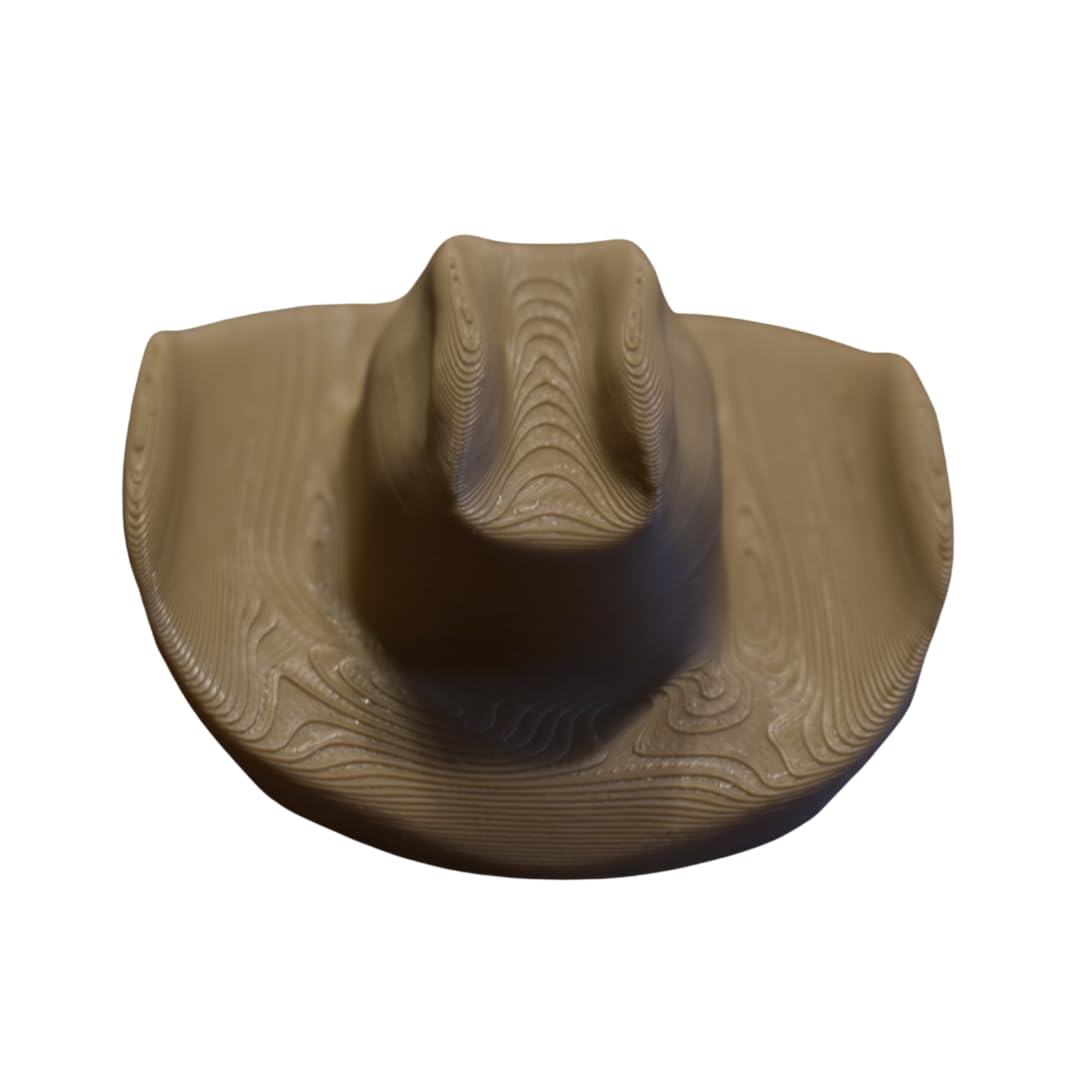 Amazon.com: Cactus Cowboy Hat | Decorate Cactus or Other  display picture 1