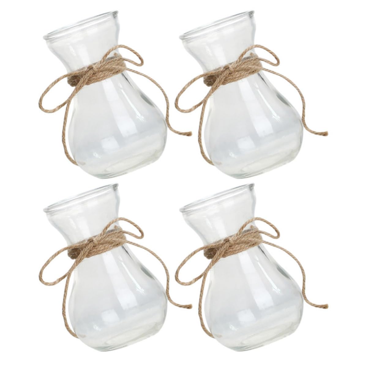Vase en verre pour plantes et racines visibles évitant le flétrissement