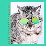  Musica Para Gatos
