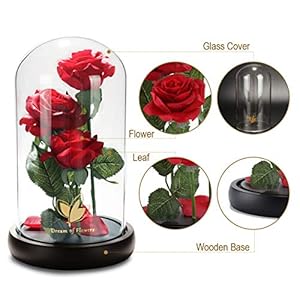 Beautyandthebeastroseclassicredrosewithledlightsandfallingpetalsgiftsforwomenbirthdaygiftsformomlightuproseinglassdomeflowergiftsforher Urban Country Home Decor Beauty and the beast rose classic red rose with led lights and falling petals gifts for women birthday gifts for mom light up rose in glass dome flower gifts for her urban country home decor