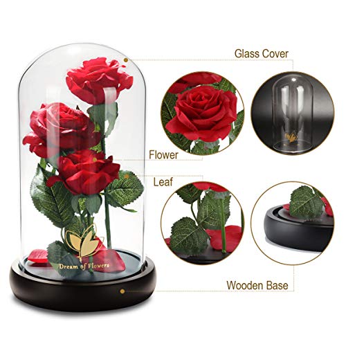 Beautyandthebeastroseclassicredrosewithledlightsandfallingpetalsgiftsforwomenbirthdaygiftsformomlightuproseinglassdomeflowergiftsforher Urban Country Home Decor Beauty and the beast rose classic red rose with led lights and falling petals gifts for women birthday gifts for mom light up rose in glass dome flower gifts for her urban country home decor