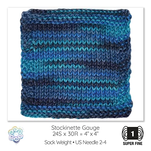 Living Dreams Yarn Slinky Malinky. Usa Hand Dyed Superwash Merino Tencel Sock Yarn. Self Striping & Colorfast. Four Skein Combo: Orcas Island #TOP3