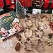 STARSIDE 6 pcs Cookie Cutters Christmas Shapes, Christmas Cookie Cutters 4 inches, Metal Winter Holiday Cookie Cutter Set-Snowman, Gingerbread Man